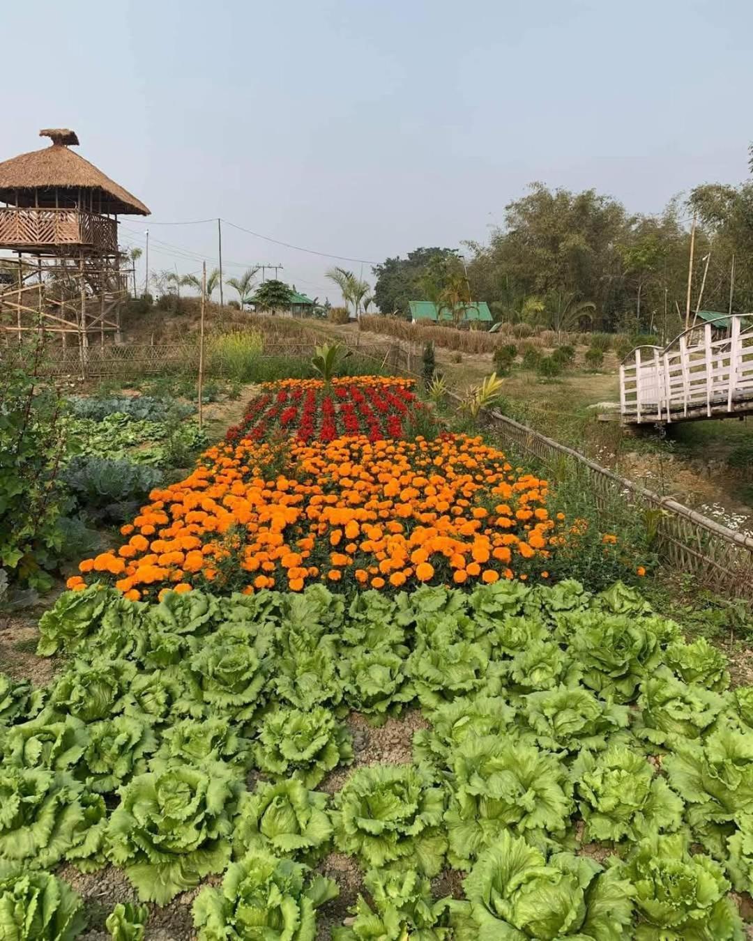 Bogibil Eco Resort New Dibrugarh Exterior foto
